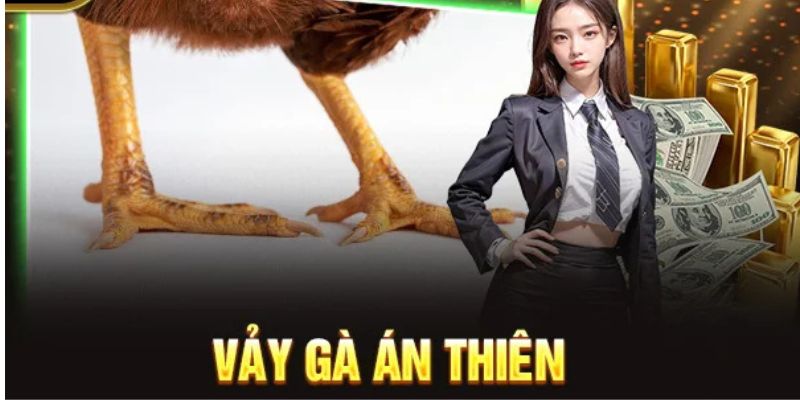 Tìm hiểu về các vảy gà chọi độc hiện nay 8 Vảy án thiên